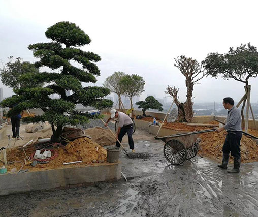 江西園林景觀設計之商業(yè)街景觀設計要點